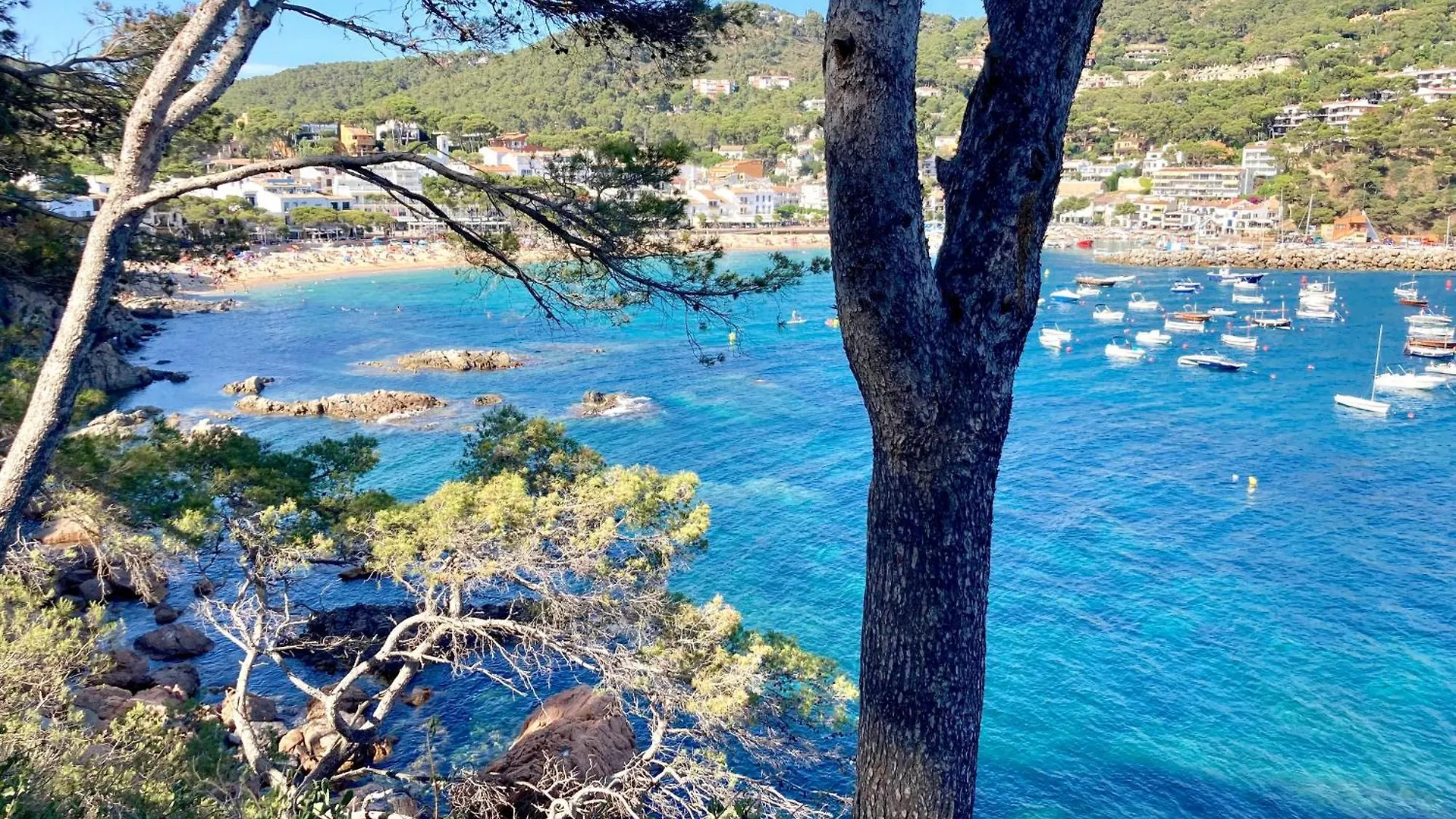 Apartment Sabin - Llafranc Spain